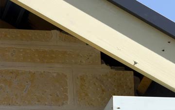 soffit repair Heavens Door